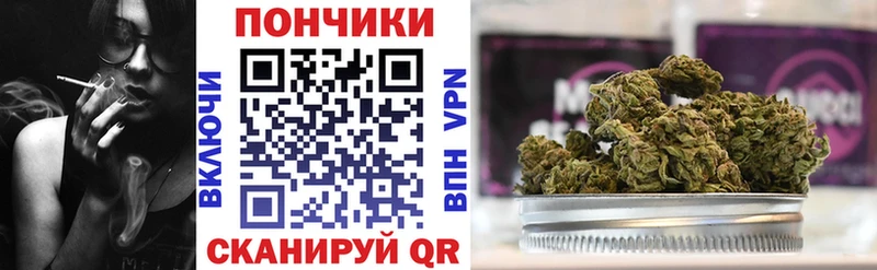 дарнет шоп  сайты даркнета какой сайт  Канабис сатива  Новопавловск 